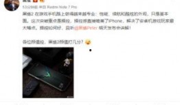 雷军手拿手机爆料视频