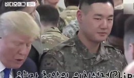 军哥哥吃瓜小助理免费阅读,揭秘军营里的欢乐时光